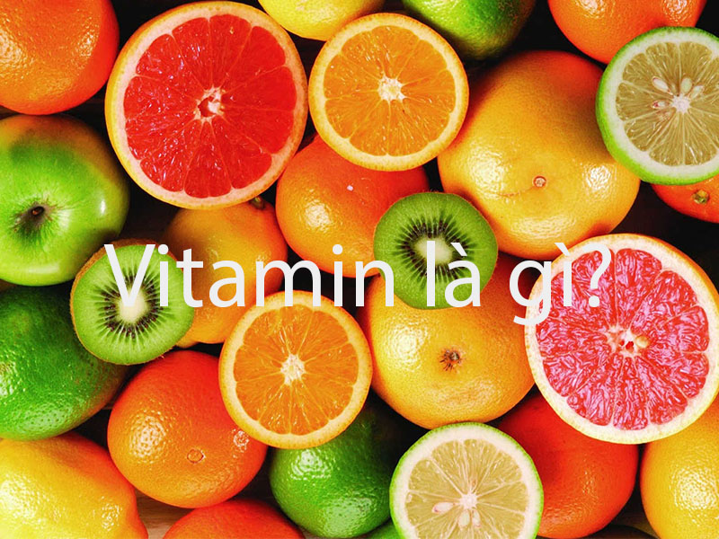 Vai trò của vitamin